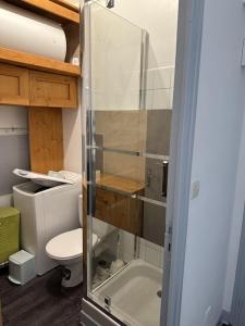 uma casa de banho com um WC e uma cabina de duche em vidro. em APARTMENT DAMGAN VUE MER em Damgan
