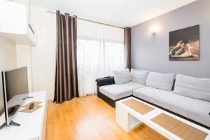Televízia a/alebo spoločenská miestnosť v ubytovaní Radziwillowska Old Town Deluxe Apartment WAWELOFTS