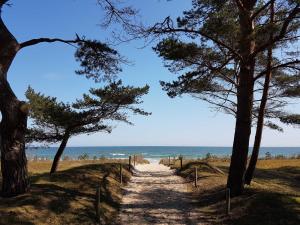 a dirt path leading to the beach with trees at Villa Wauzi in Baabe +35 photos