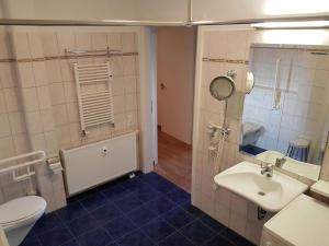 ein Badezimmer mit einem Waschbecken, einem WC und einem Spiegel in der Unterkunft Villa Wauzi in Baabe