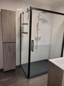 a shower with a glass door in a bathroom at Beach Palace in Middelkerke