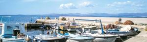 a group of boats docked at a dock in the water at Apartment Novaković in Mirce