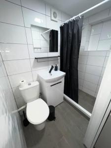a bathroom with a toilet and a sink and a shower at Newly renovated 1 bedroom flat with garden pergola in Ennis
