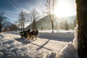 Το Rieser Achensee Resort τον χειμώνα