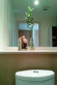 um WC branco numa casa de banho com um espelho em Superhost 1 bedroom flat 15 mins to center,zone 2. em Londres