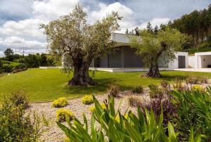 una casa con dos árboles en un patio en Casa Barbónica piscina privada, en Bairro do Lobo