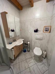 a bathroom with a sink and a toilet at Glattbacher Hof Ferienwohnung 8 in Glattbach