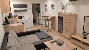 ein Wohnzimmer mit einem Sofa und einer Küche in der Unterkunft Appartment-Ferienwohnung mit Küche, Bad, kostenlos WLAN, Modern eingerichtet in Roding