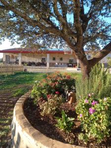 Zahrada ubytování CASA RURAL LA HOJA EL VALLE