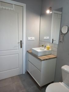 ein Badezimmer mit einem Waschbecken, einem WC und einem Spiegel in der Unterkunft CASA RURAL LA HOJA EL VALLE in Valdecaballeros