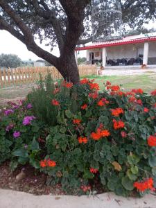 Ogród w obiekcie CASA RURAL LA HOJA EL VALLE