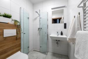 La salle de bains est pourvue d'une douche en verre et d'un lavabo. dans l'établissement Apartamenty RIO Skarbimierz-Osiedle, à Skarbimierz Osiedle
