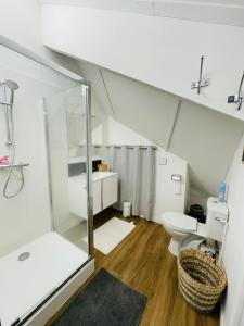 La salle de bains est pourvue d'une douche en verre et de toilettes. dans l'établissement TRIPLEX 8 COUCHAGES - BONASCRE AX LES THERMES, à Ax-les-Thermes
