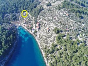 Fotografie z fotogalerie ubytování Holiday House Parive v destinaci Vela Luka