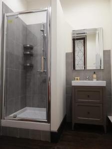 Salies-du-Salat的住宿－Château l'Argelès，带淋浴和盥洗盆的浴室