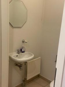 a bathroom with a sink and a mirror at La Clé des Champs in Tervuren