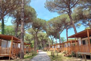 uma fileira de alojamentos de madeira numa floresta com árvores em Piomboni Camping Village em Marina di Ravenna