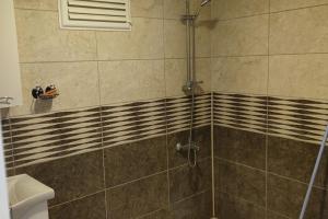 y baño con ducha y aseo. en Midtown Hotel Apartments 304 (2+1), en Estambul