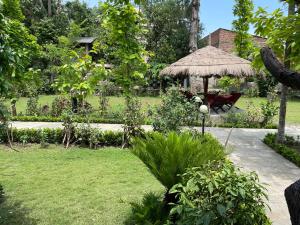 Travellers Jungle Camp-Sauraha外面的花园