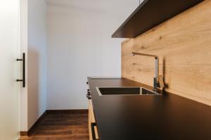 a kitchen with a sink and a wooden wall at Kickmaier's in Kirchbach in Steiermark