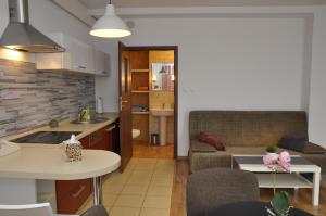 a kitchen and living room with a couch and a table at Apartament Bażantowo typu studio z parkingiem in Katowice +7 photos
