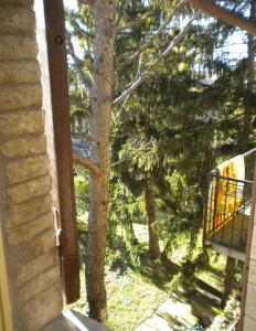 an open window with a view of a tree at Hotel Il Vicoletto in Assisi