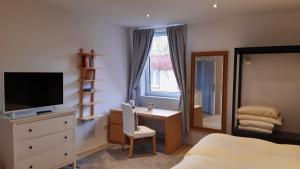 TV a/nebo společenská místnost v ubytování Hotel Rhein-Residenz