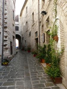 an alley in an old stone building with plants at Il Vicoletto in Assisi