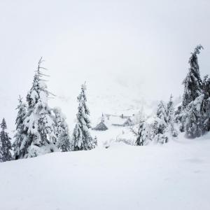 Apartament Malinowy Zakątek Triventi Mountain Residence v zime