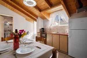 Kuchyň nebo kuchyňský kout v ubytování Dolphin Apartment Sea View 9