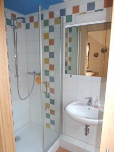 uma casa de banho com um chuveiro e um lavatório. em Ferienhof Selz em Haundorf