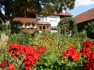 um campo de flores vermelhas em frente a uma casa em Ferienhof Selz em Haundorf
