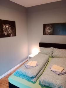a bed in a room with two pictures of tigers at Flensburg Zentrum 50 05 in Flensburg