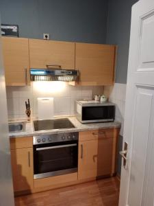 a kitchen with a stove and a microwave at Flensburg Zentrum 50 05 in Flensburg