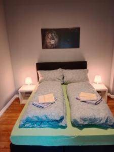 a bedroom with a bed with two night stands at Flensburg Zentrum 50 05 in Flensburg
