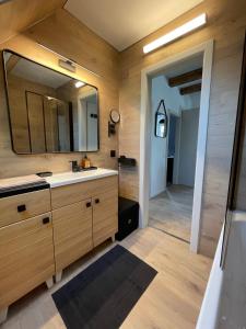 a bathroom with a sink and a large mirror at Le 6B in Hoenheim