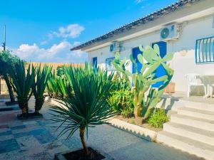 a group of plants in front of a house at Villaggio Turistico Europeo in Catania +49 photos