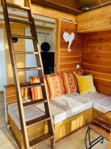 a bedroom with a bunk bed and a ladder at Tiny House/Waldhaus - Westerwald 