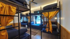 a room with four bunk beds in a house at The Hostel Stories, Bir - Landing Site in Bīr