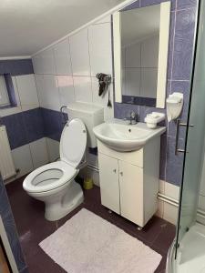 un bagno con un water e un lavandino di Hanul La Cetate - Cazare pentru muncitori și delegați a Slimnic Altre 5 foto