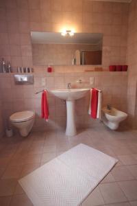 a bathroom with a sink and a toilet at Ferienwohnung Bothe in Zandt