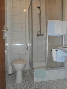 ein Bad mit einem WC, einer Dusche und einem Waschbecken in der Unterkunft Pension Jodlbauer in Schöllnach