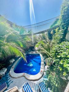 - une vue sur la piscine bordée de palmiers dans l'établissement Maison du Bonheur, à Dakar