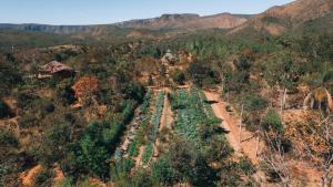 an aerial view of a field of trees in the mountains at Terra Booma in Alto Paraíso de Goiás
