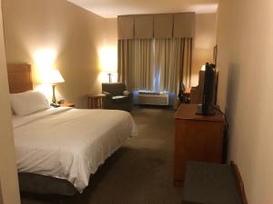 a hotel room with a bed and a television at Holiday Inn Express Hotel & Suites Howell, an IHG Hotel in Howell