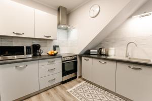 Kuchnia lub aneks kuchenny w obiekcie APARTAMENT KARO 2 Karkonosze