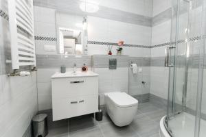 łazienka z toaletą, umywalką i prysznicem w obiekcie APARTAMENT KARO 2 Karkonosze w Jeleniej Górze