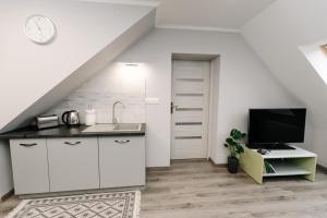 Kuchnia lub aneks kuchenny w obiekcie APARTAMENT KARO 2 Karkonosze