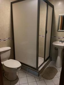a bathroom with a shower and a toilet and a sink at Hotel Hacienda Salvador in San Juan de los Lagos