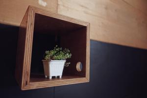 Fotografie z fotogalerie ubytování Hotel & Café Bauda v destinaci Castro